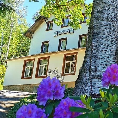 Pension Haus Anna Altenberg  Zewnętrze zdjęcie